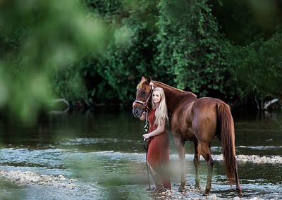 horse and rider in a river