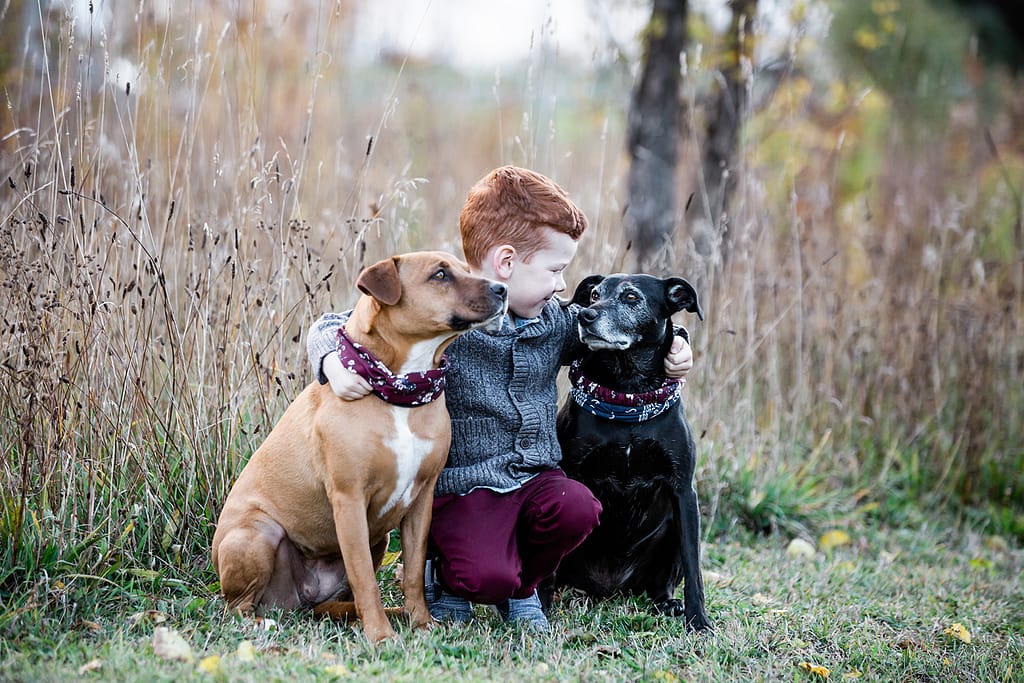A young boy and his two dogs in the fall