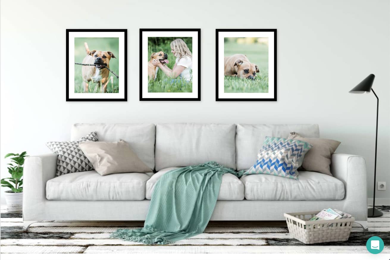 Candra Schank Photography Wall Art of a lady and her dog