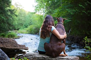 Pet Photography by Candra Schank Photography.