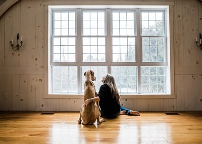 A great dane dog in front of the window with his mom. Dog photography. Pet Photography. Owen Sound Dog photographer Grey Bruce Pet Photographer.