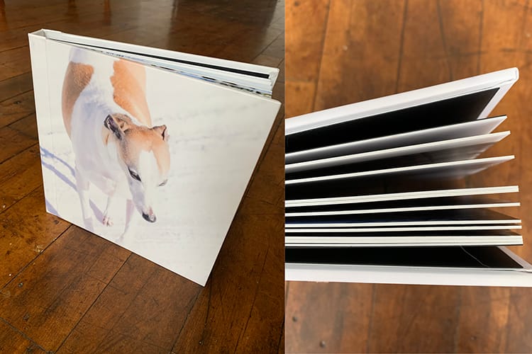 Photo Albums filled with dog photos that tell your story. Owen Sound Pet Photographer. Grey Bruce Pet Photographer. Owen Sound Dog Photographer