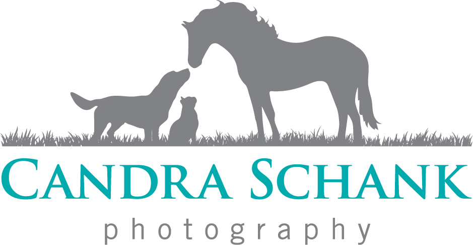 Candra Schank Photography